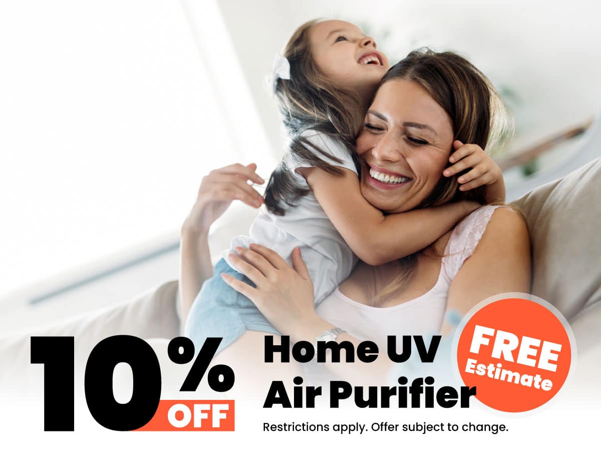 Bears Home Solutions promotion for 10% off Home Air Purifier and Free Estimate