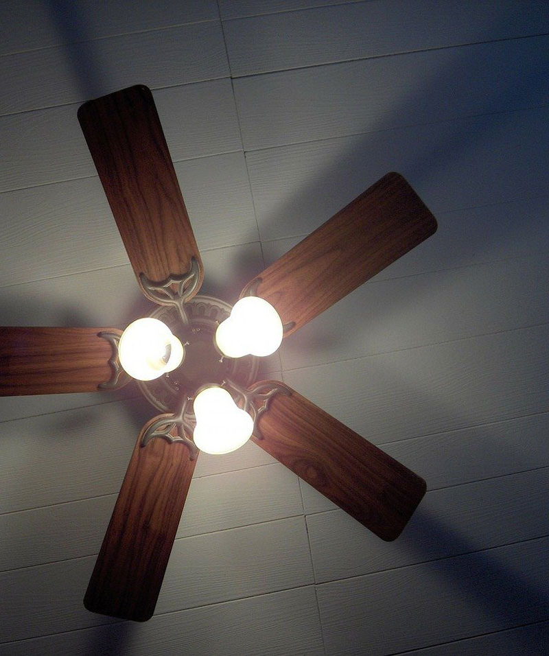 Ceiling fan