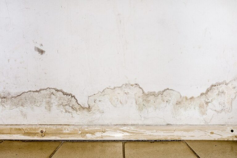 How to Spot Hidden Water Damage Behind Your Walls